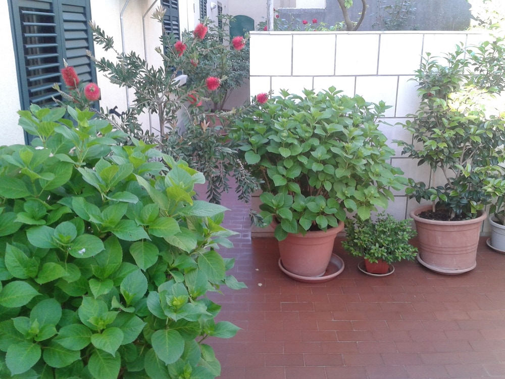 Anna Guesthouse