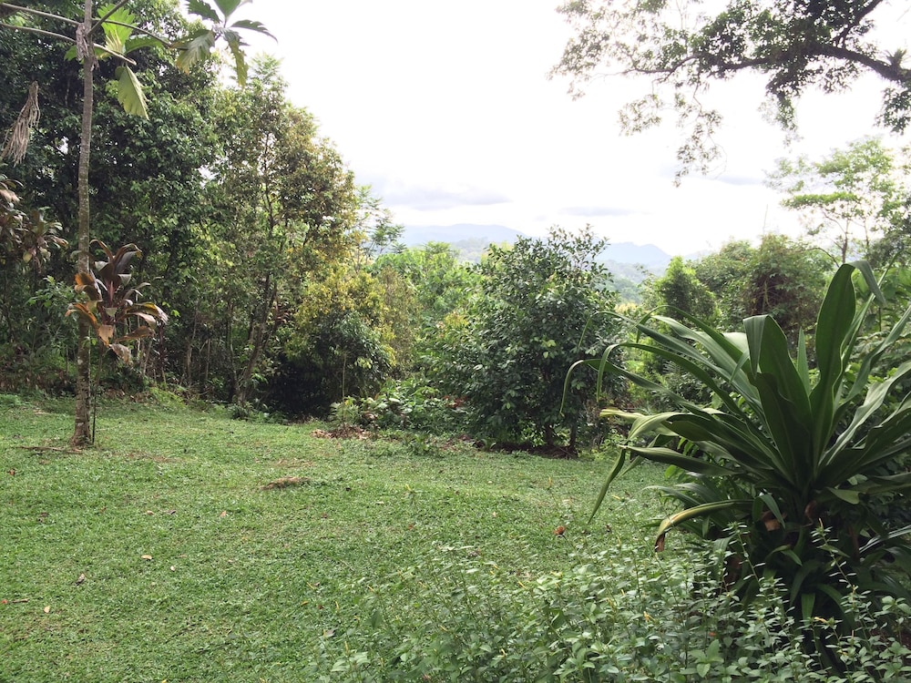 A Little Paradise