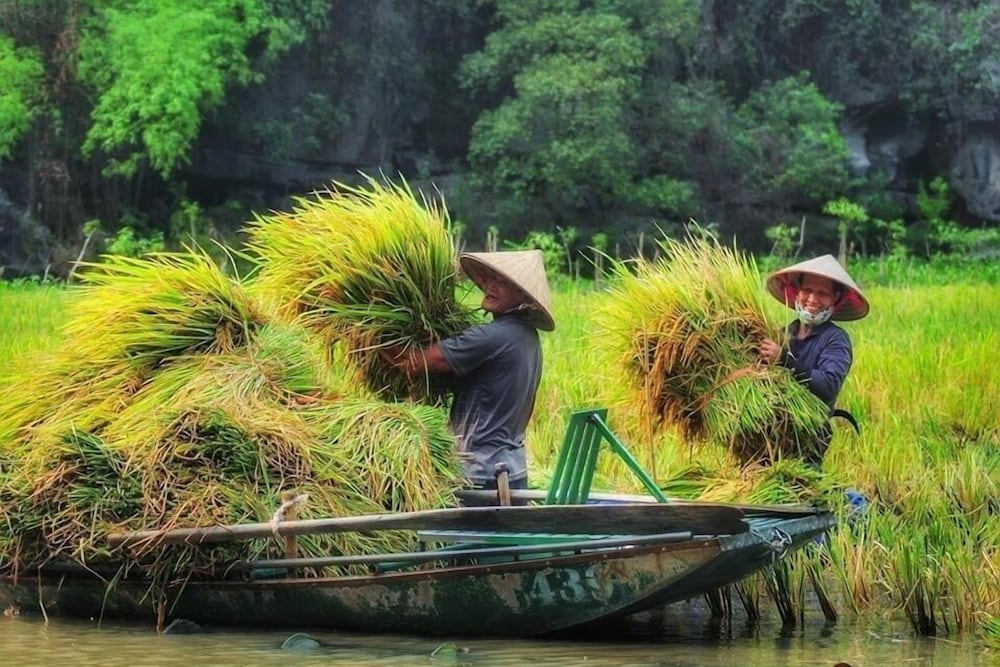 Tam Coc Craft Homestay