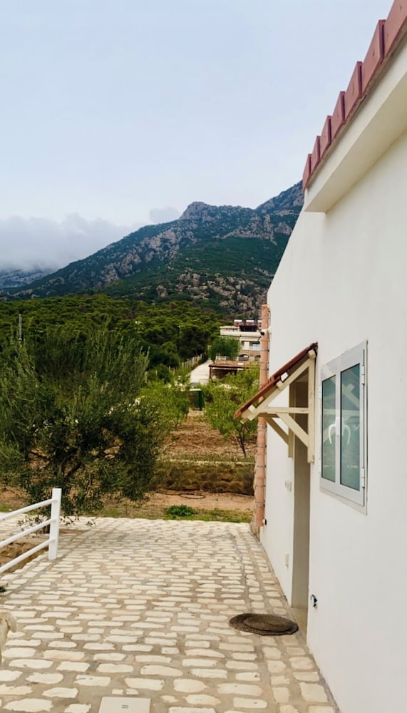 Dar Nesri