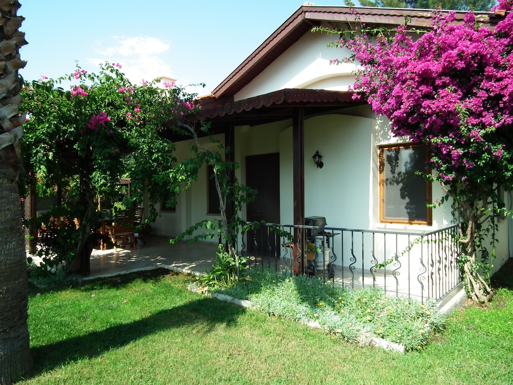 Photo 25