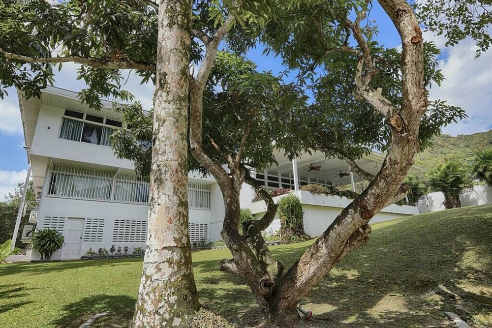 Luxury Hibiscus House
