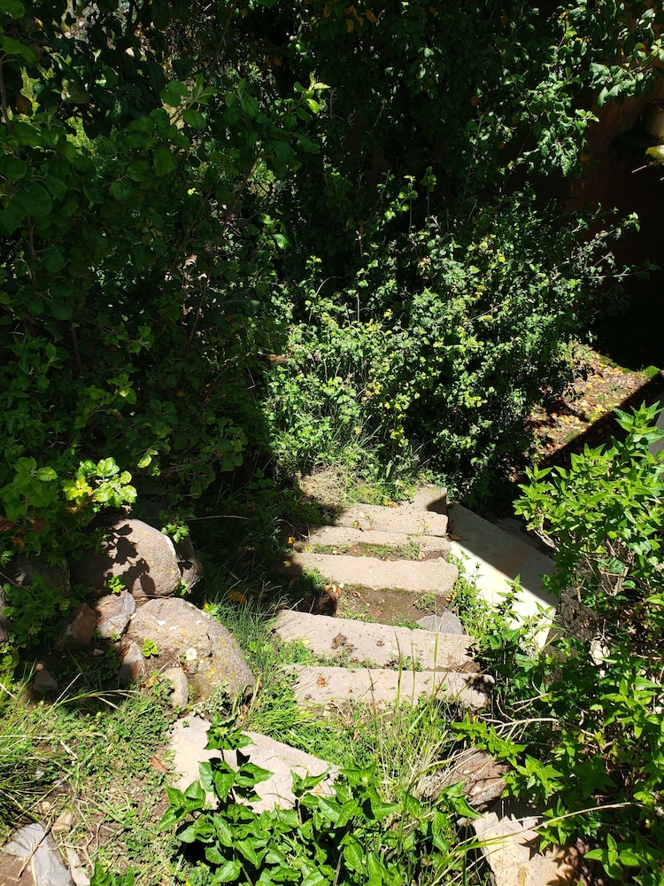 Jamuy Amantani Lodge de ALL TRIP