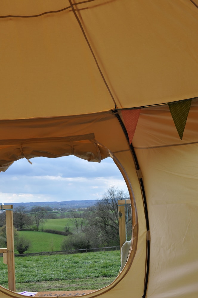 Lovely Spacious Lotus Bell Tent in Shaftesbury, UK view 5