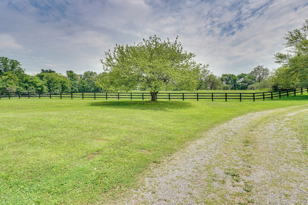 Hudson Valley Horse Farm Retreat in Salt Point - Property Image 9