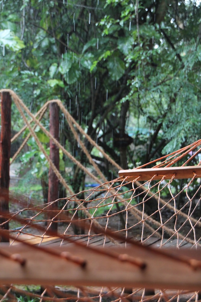 Jungle Vista - Hostel