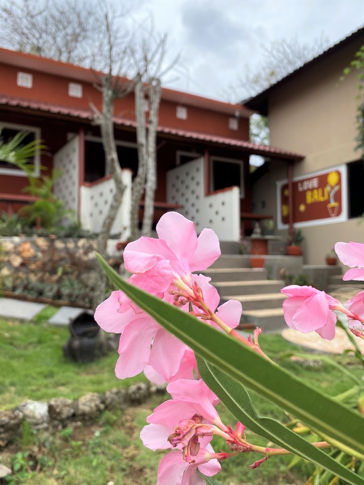 Villa Anjing 2