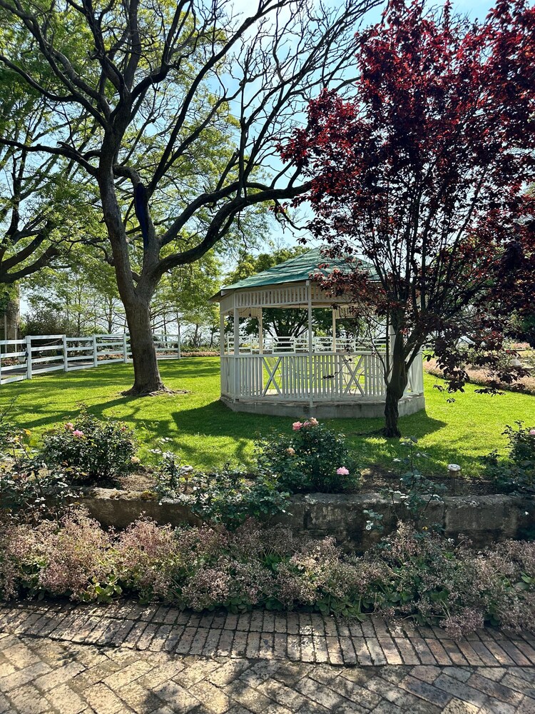 Charming Cottage in Elgin, Grabouw