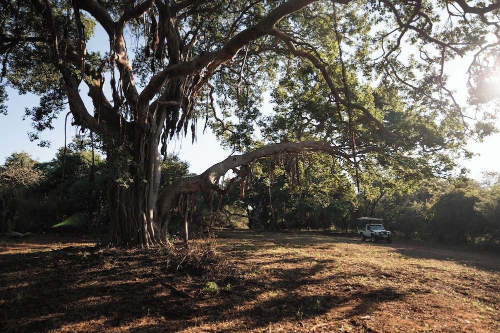 Room in Lodge - Mmakuba Private Game Lodge, Two Bedroom Villa 2