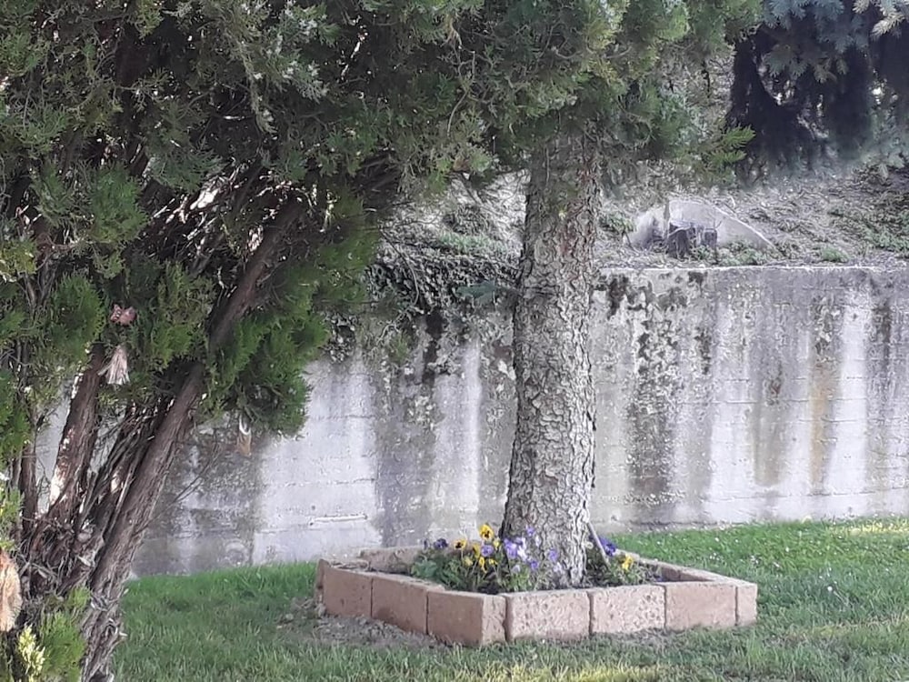 Photo 34