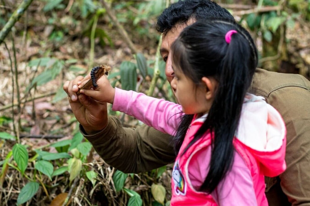Photo 38