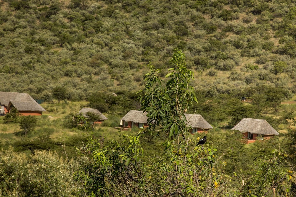 Spirit Of The Masai Mara