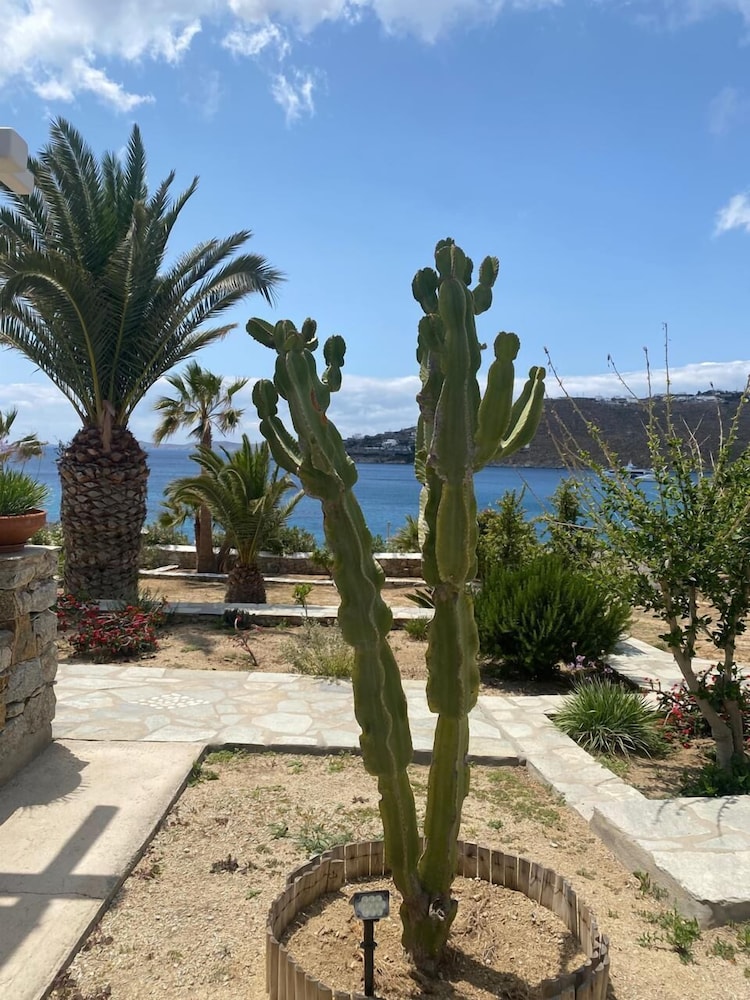 Only Yours Mykonos