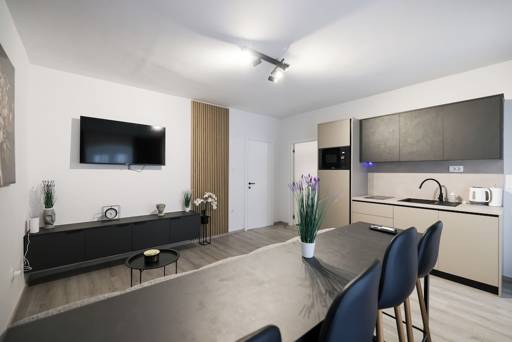 Classy apartments in city center