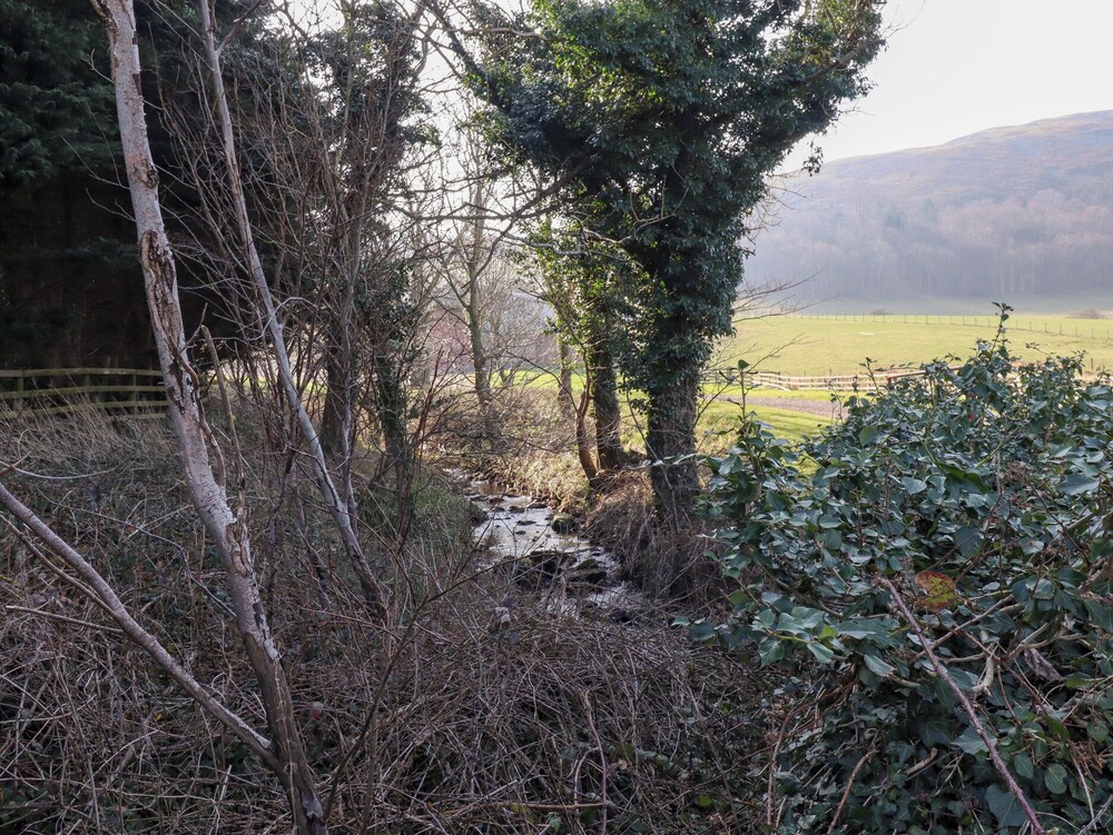 Catkin Cottage