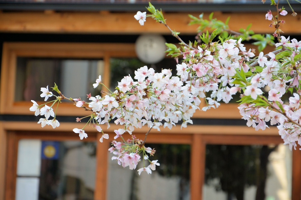 The Wonder At Stay-Machiya Karahori-