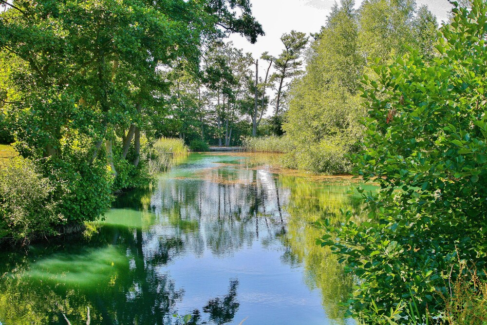 Acorn Glade