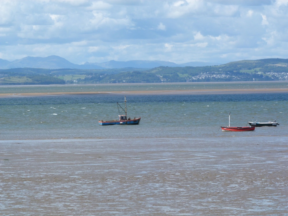 Driftwood