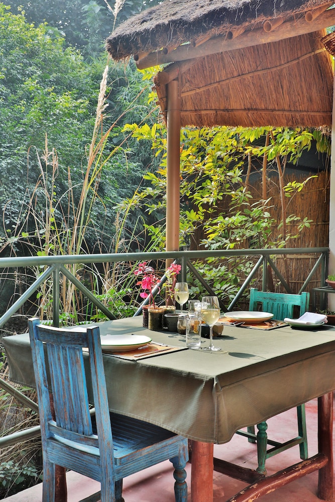 Jim's Jungle Retreat