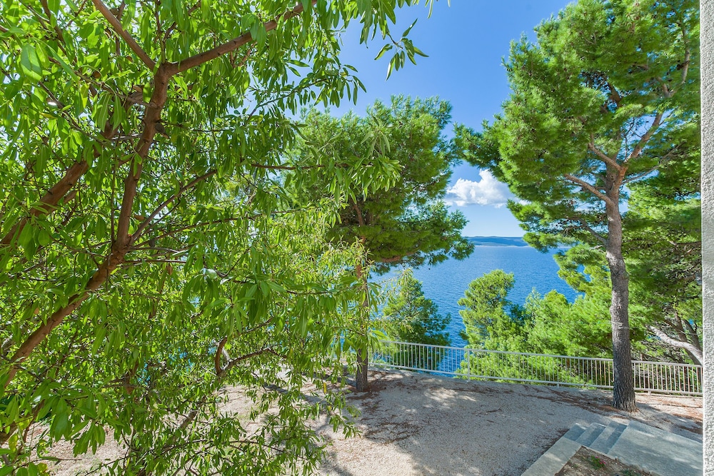 Photo 52