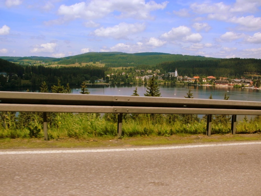 Photo 49