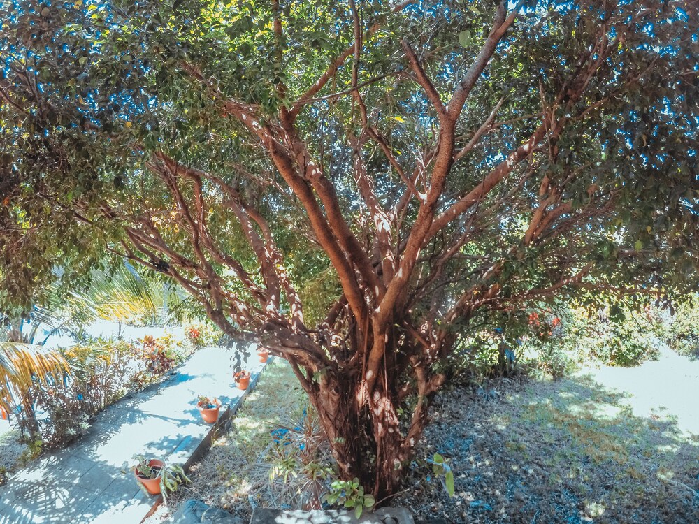 Quinta Ensueño