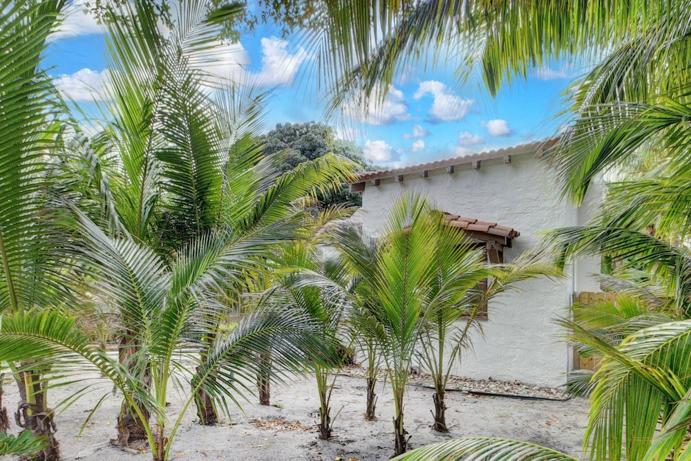 Sunset Home West Palm Beach/close to Downtown/ Shops/ Pet Friendly view 4