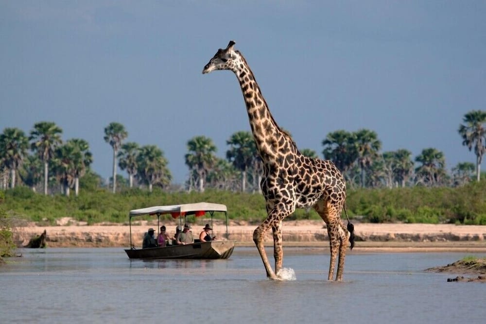 Safari junction backpackers hostel