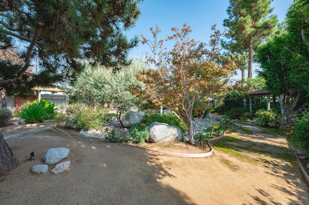 Bright Family Getaway Large Backyard Oasis Patio