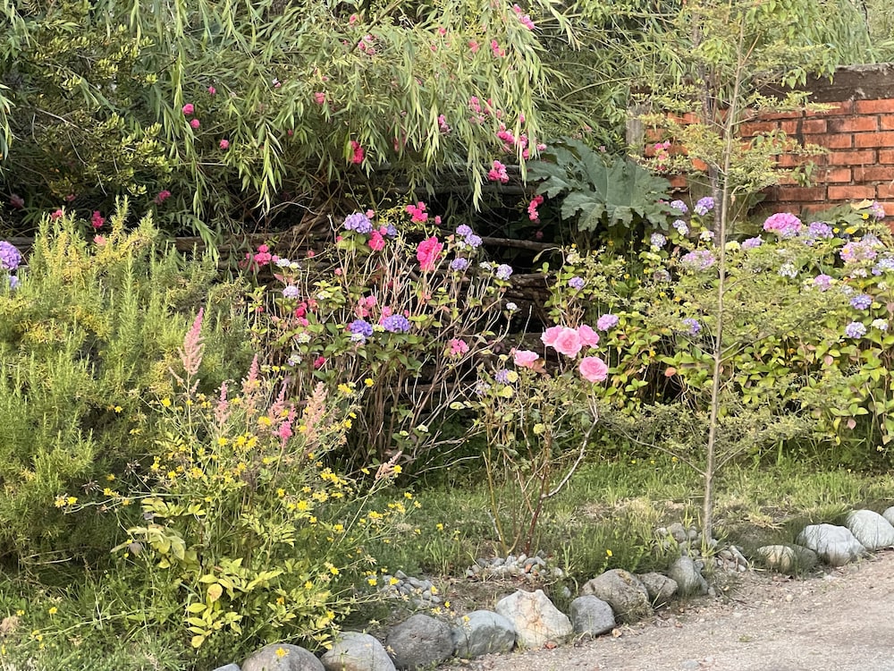 Photo 19