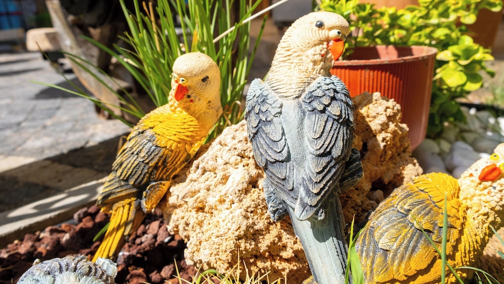 Tetka Konuk Evi - Image 44