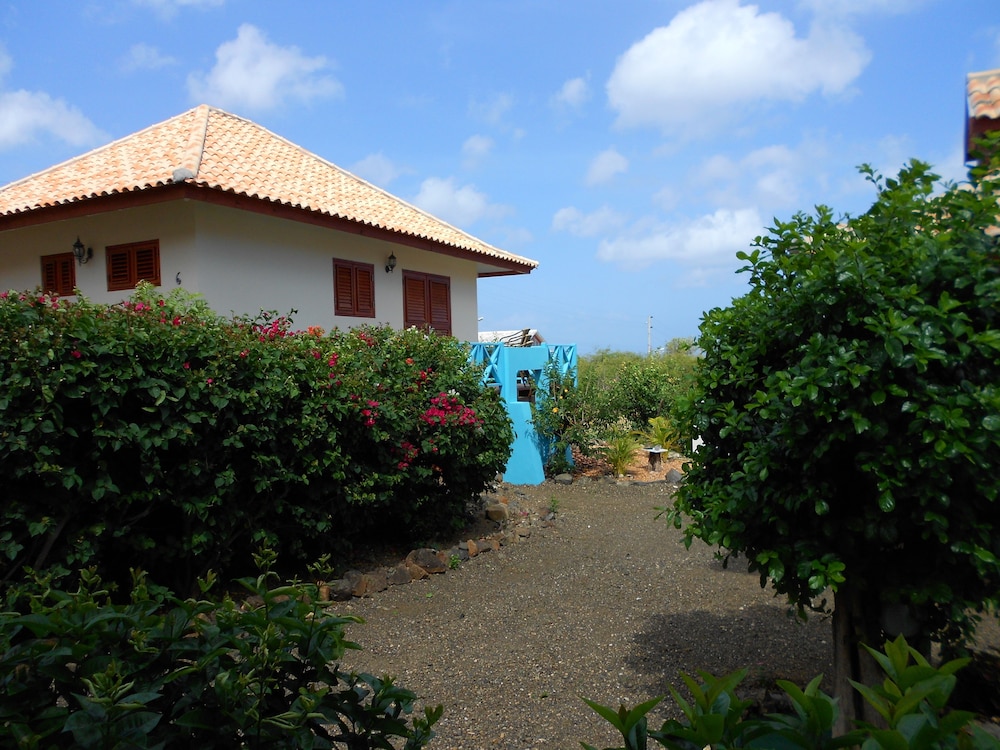 Photo 27