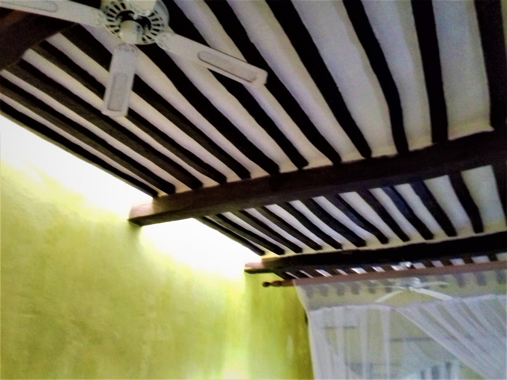 Jardim dos Aloés - Unique B&B, photo 106