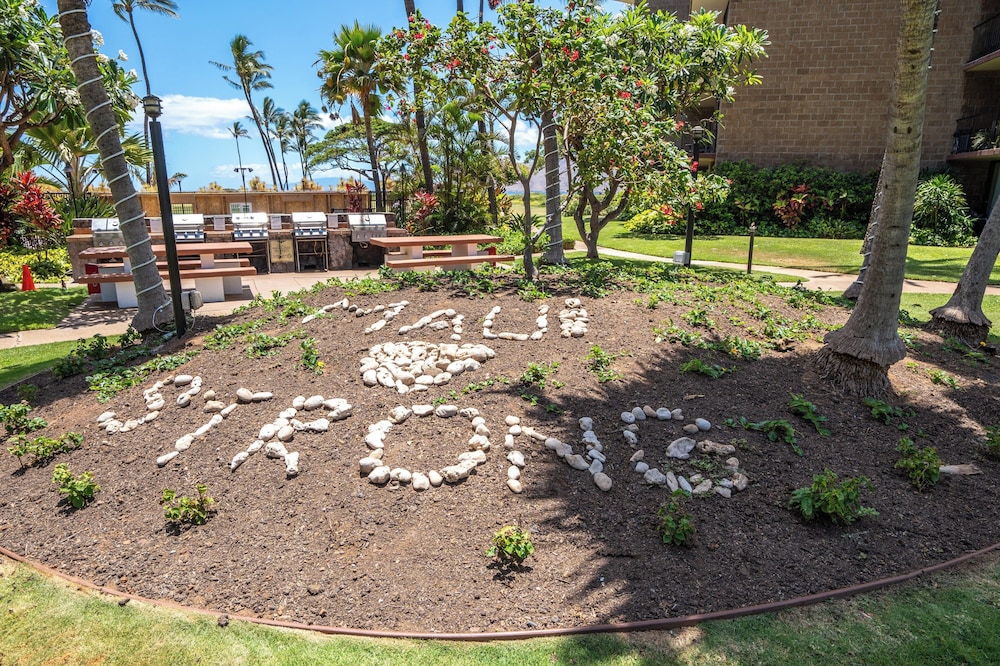 Sunny and Soothing Oceanfront Vistas view 5