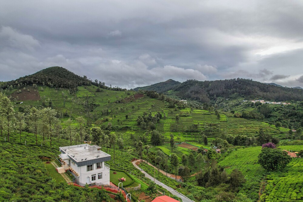 Heavenly Hills