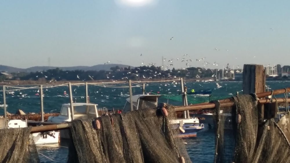La Cabane d'Isa en Sète — other