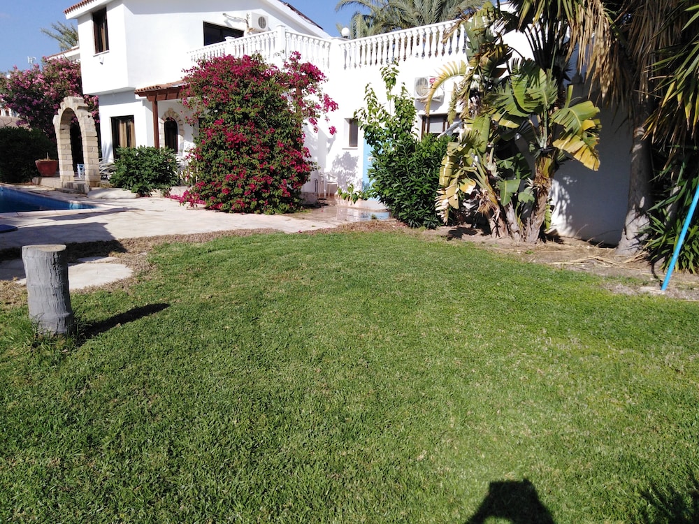Photo 22