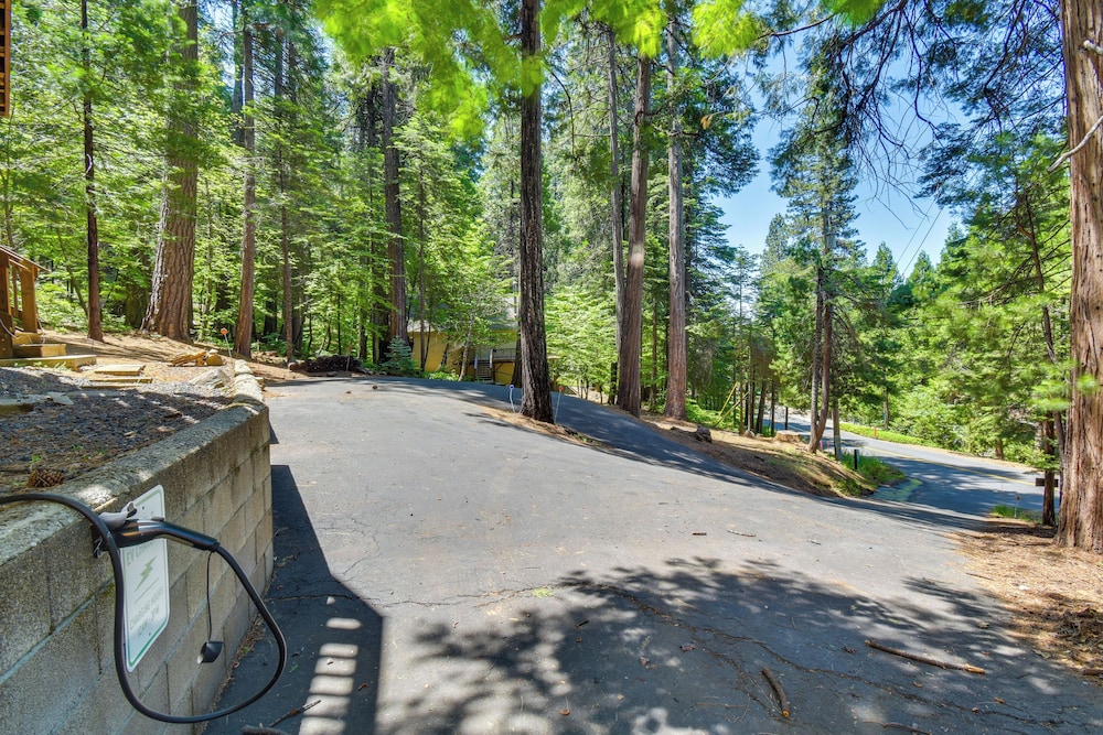 Walk to Fly-in Lake: Blue Lake Springs Cabin!