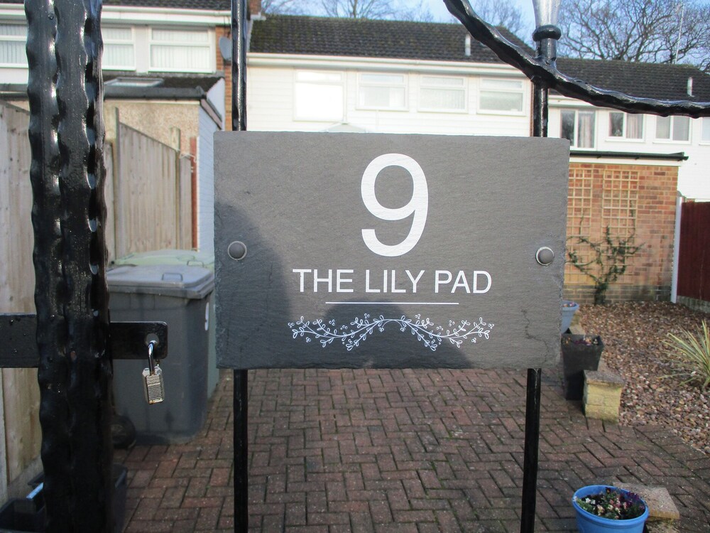The Lily Pad
