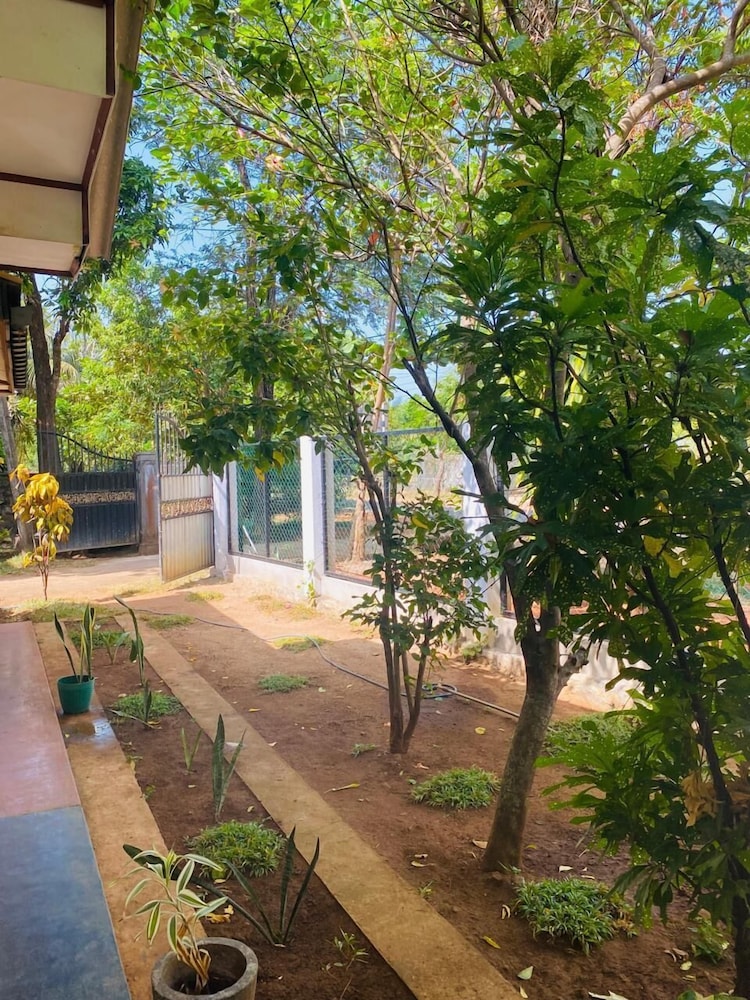 Elephant Safari Lodge