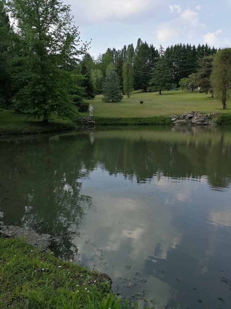 Photo 38