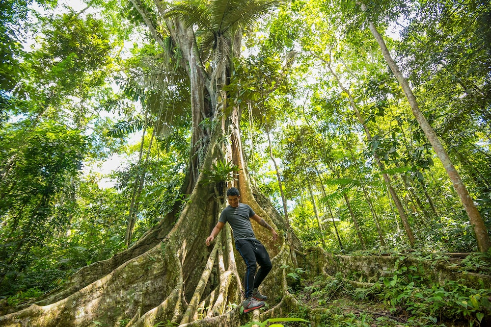 Pacaya Samiria Amazon Lodge
