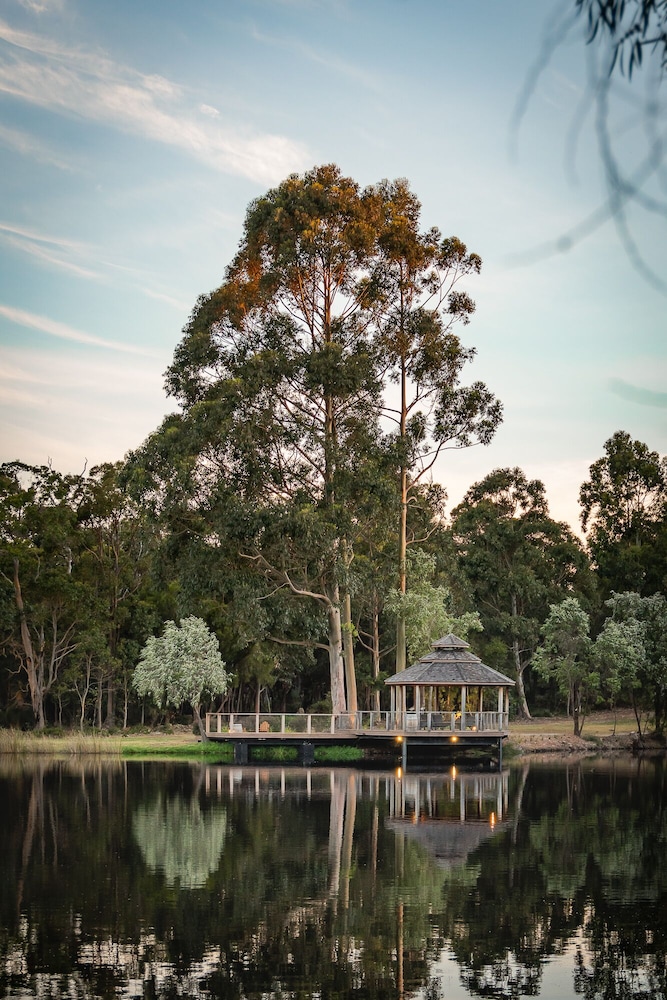 Forest Rise