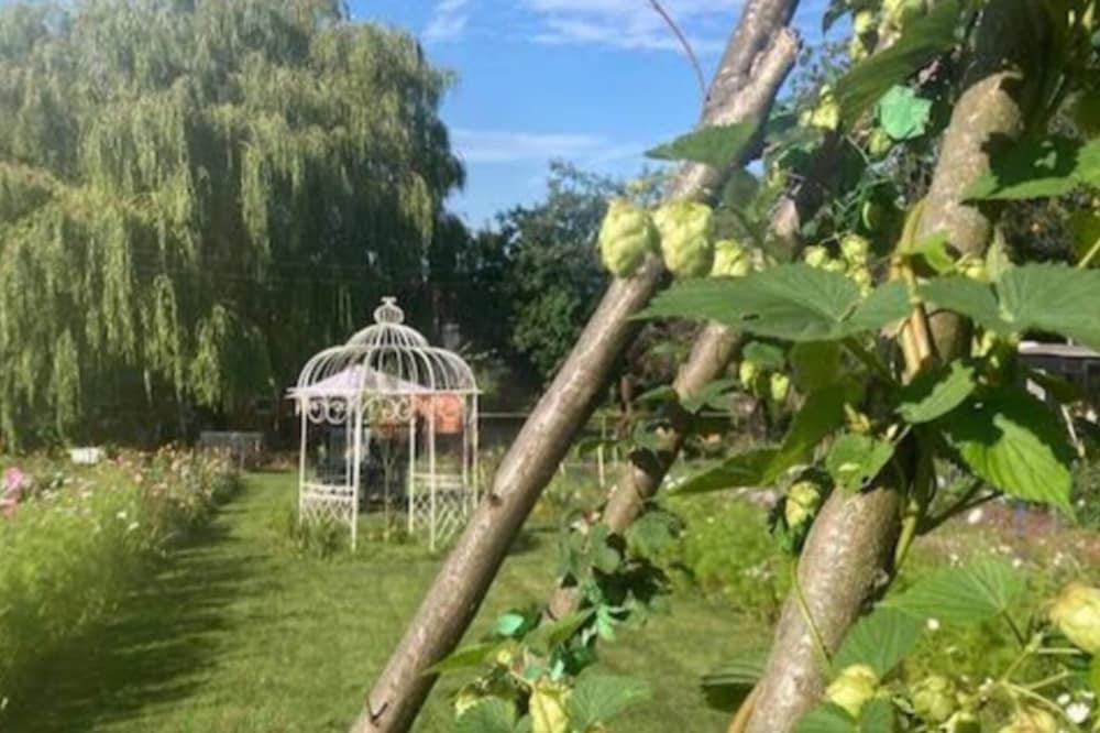 Flower Farm Glamping Retreat in Suffolk