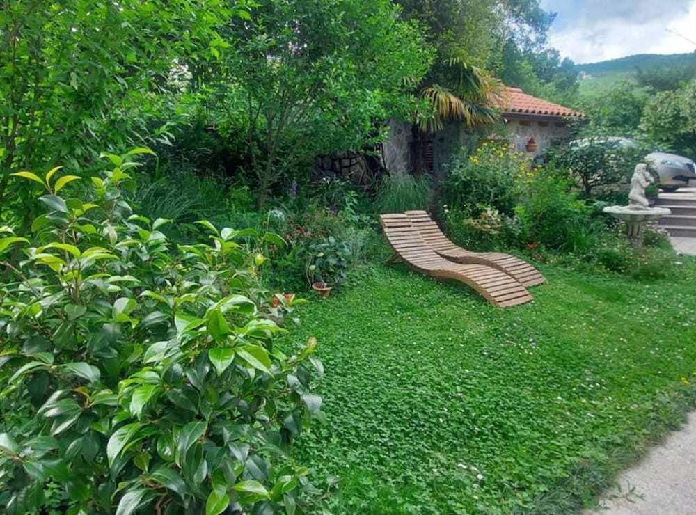 Green Garden Oasis