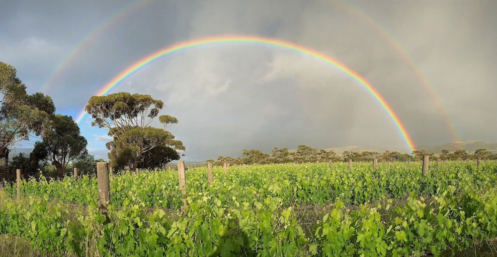 Old Chaff Mill Retreat - - luxury vineyard accommodation