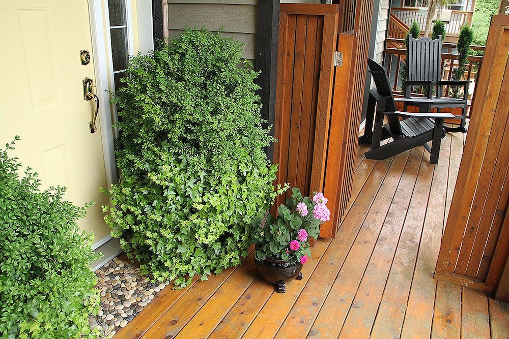 Ocean Mist Guesthouse