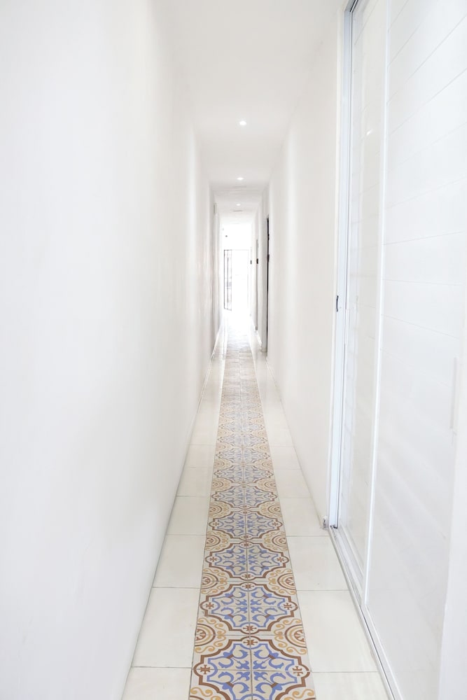 Apartamentos 31