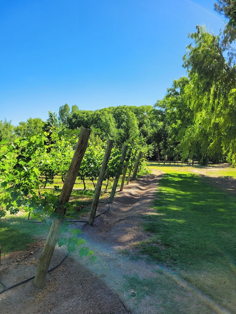 Finca La Saucina