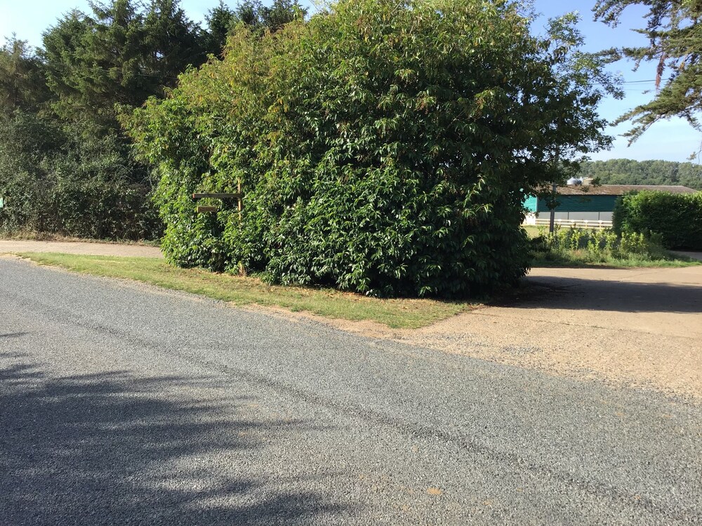 Photo 18